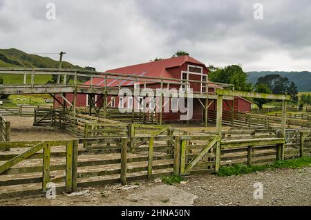 The traditional shearing shed of Battle Hill Farm, a sheep farm in Pauatahanui, Porirua, Greater Wellington, North Island, New Zealand Stock Photo