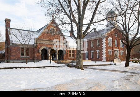 The Norman Williams Public Library and Windsor County Courthous on the Green in Woodstock, Vermont, USA Stock Photo