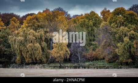 Autumnal View Stock Photo