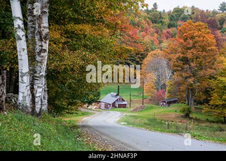Maple Syrup shack farm on a country road in Reading, Vermont, USA US Vt New England sugar shack Stock Photo