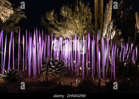 Chihuly In The Garden, Neodymium Reeds, 2021 at Night Stock Photo