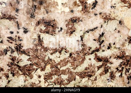 Marble texture of polished crystals of beige, brown marble with black inclusions, with various inclusions and veins. Stock Photo