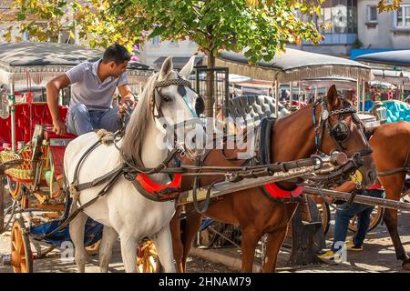 BUYUKADA, TURKEY - October 10th, 2019: Horse carriage ready to pick up tourists. Stock Photo