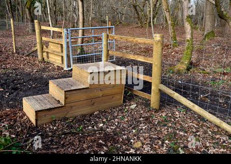 Horse mounting blocks for ease of getting on a horse at gate, which is sometimes closed, by woods and bridleway Stock Photo
