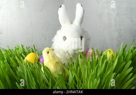 Easter bunny rabbit with painted eggs and chick in grass on grey background. Easter holiday concept. Easter card. Stock Photo