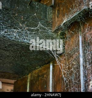 old spider web on wooden beam Stock Photo