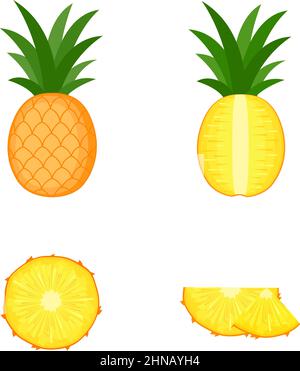 Pineapple, whole fruit, half and slices, vector illustration Stock Vector