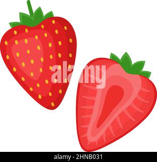 Strawberry, whole berry and half, vector illustration Stock Vector