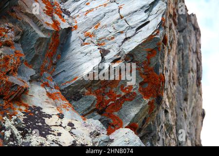Close-up of a gray rock with red lichen Stock Photo