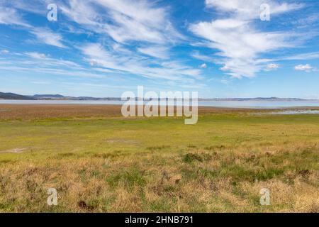 Water in Lake George NSW, australian lake beside the Federal Highway, February 2022, regional New South Wales,Australia Stock Photo