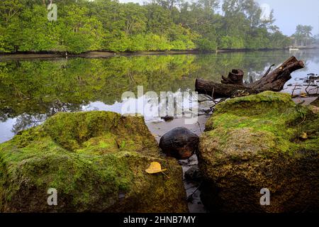 Mist lifting over the El Rio canal in Boca Raton Stock Photo