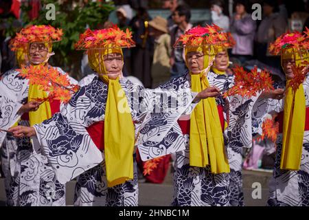 Nagoya, Japan – October 20, 2019: The women-dancers of Shachibayashi team wearing of in period dress (happi) coats, waving branches with autumn leaves Stock Photo