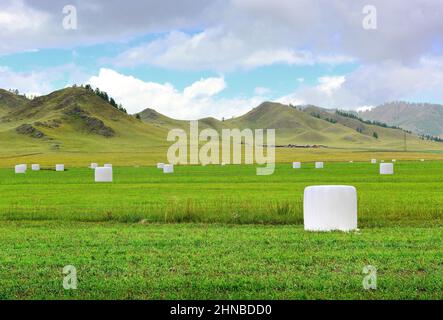 Haystacks packed in film against the background of hills under a cloudy sky. Siberia, Russia Stock Photo