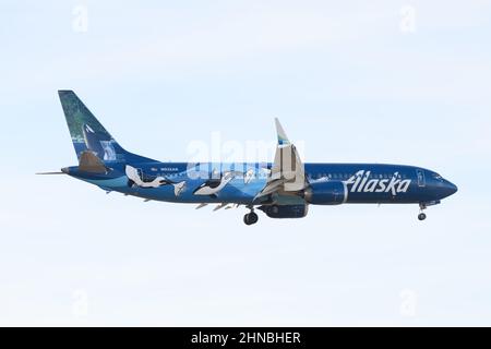 Seatac, WA, USA - February 11, 2022; Alaska Airlines Boeing 737 MAX 9 landing in an Orca Livery isolated against a bright sky Stock Photo