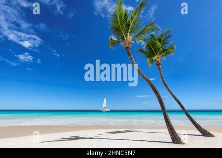Sunny beach with palm trees and blue sky and a sailing boat in the turquoise sea on Paradise island. Stock Photo