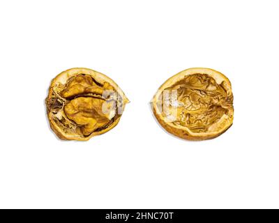 Two halves of a split walnut isolated on a white background. Stock Photo