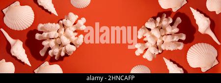 Banner with White Sea Coral and Seashell on a brick color background with Empty Space for text. Stock Photo