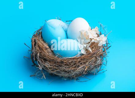 Three Easter eggs in a nest on a blue background. Easter background. Side view, close-up. Stock Photo