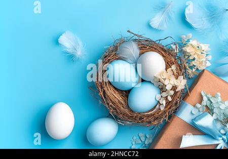 Blue and white eggs in a nest with flowers, a gift and feathers on a blue background. Easter background. Top view, copy space. Stock Photo