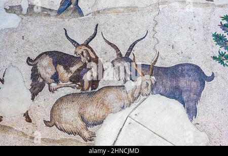 Ancient Goats Mosaic from the Byzantine period at the Great Palace of Constantinople. 4th-6th century. Great Palace Mosaics Museum. Istanbul, Turkey. Stock Photo