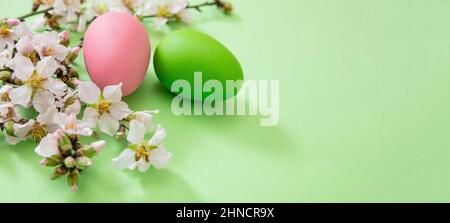 Easter eggs and blooming almond tree branch. Springtime nature flat lay. Spring blossom flower on pastel green background, copy space. Stock Photo