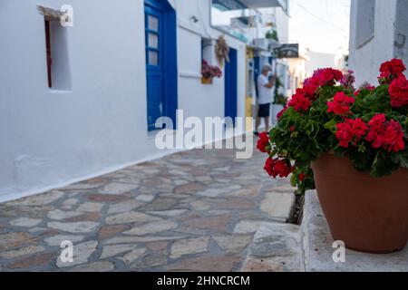 Greece. Pano Koufonisi island, Cyclades. Pink geranium flower in plastic pot. Close up view of fresh plant blur building background, cobblestone stree Stock Photo