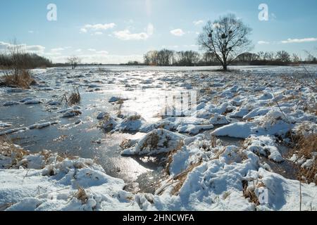 Sunlight in the frozen water on the meadow, winter sunny day, Zarzecze, Poland Stock Photo