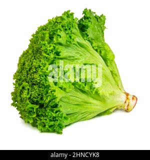 Green fresh bunch of lettuce isolated on the white background Stock Photo