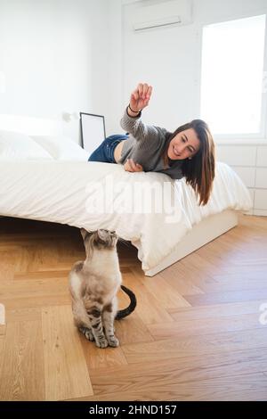 Content female owner playing with cute gray cat while lying on comfortable bed in light bedroom with wooden flooring Stock Photo