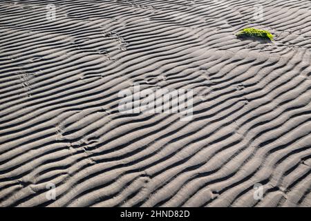 Ireland, County Sligo, Patterns in the sand on Lissadell Beach. Stock Photo