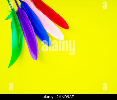 Multicolor feather on yellow background copy space for text Stock Photo