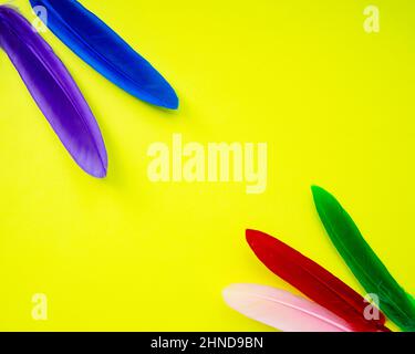 Multicolor feather on yellow background copy space for text Stock Photo