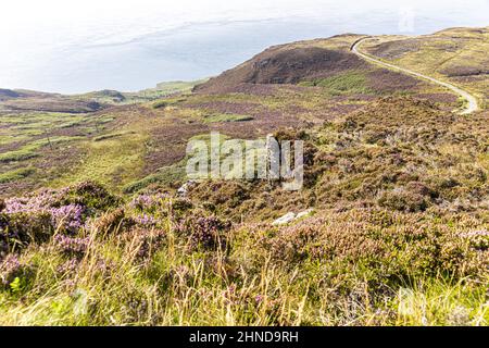 Rocky outcrops on the heather-clad moorland on the Mull of Kintyre at the south end of the Kintyre Peninsula, Argyll & Bute, Scotland UK Stock Photo