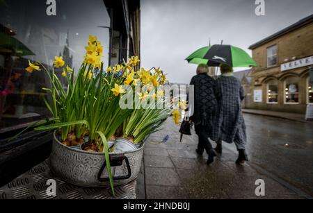 Ramsbottom, Lancashire, UK, Wednesday February 16, 2022. The start of Storm Dudley hits the North West of England on Bridge Street, Ramsbottom, Lancashire. Rain sodden shoppers pass a vibrant display of daffodils outside a florist shop. Credit: Paul Heyes/Alamy News Live Stock Photo