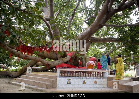 Kailashahar, India - January 23 2022 : 14 God's temple at Kailashahar, Tripura Stock Photo