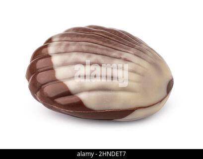 Chocolate sweets shaped as seashells isolated on white background Stock Photo