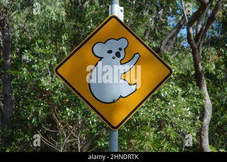 Koala road sign, Magnetic Island, Queensland, Australia Stock Photo