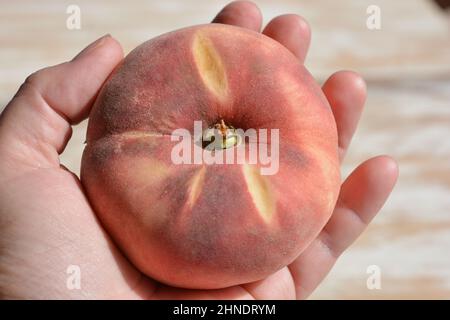 Flat peach, also known as Paraguayo, in woman's hand, close up Stock Photo