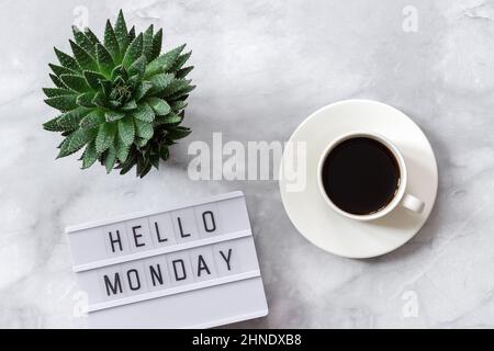 Office or home table desk. Lightbox text Hello monday, cup of coffee, succulent on marble background Concept Copy space Flat lay Top view. Stock Photo