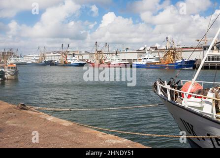 A fleet of trawlers within Ijmuiden harbour in the Netherlands, Europe. Stock Photo