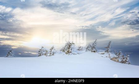 Beautiful sunset landscape with mountain pines in the foreground in wintertime Stock Photo