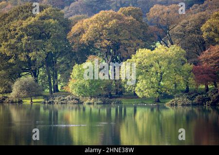Autumn trees reflected in lake, Castle Kennedy, Dumfries and Galloway, Scotland, United Kingdom, Europe