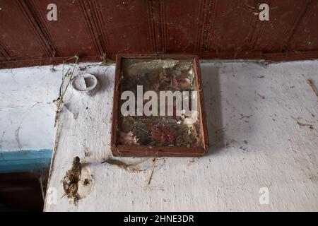 Old Orthodox icon on the wall in an abandoned house Stock Photo