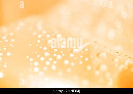 Orange and yellow abstract background with blurred water droplets and bokeh on the background Stock Photo