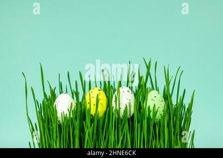 Multi-colored Easter eggs in green grass on a blue background. Place for an inscription. Easter concept. Stock Photo