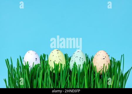 Decorative Easter eggs on green grass close-up. Place for text. Stock Photo