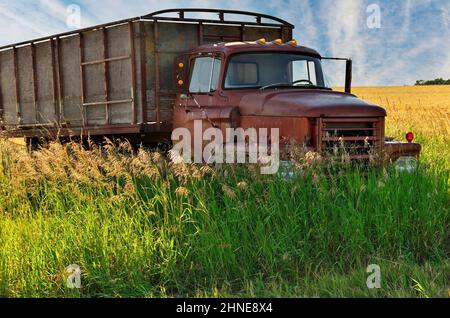 Abandoned Vintage and Rusty Truck in a Field on a Sunny Day Stock Photo