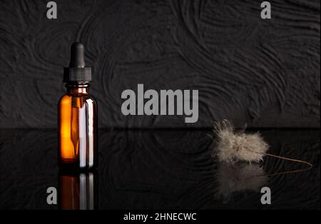 Amber glass dropper bottle with black with dry plants on dark background. Skin care products, natural cosmetics. Beauty concept for face and body care Stock Photo