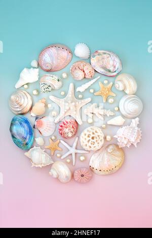 Seashell and oyster pearl on gradient pastel pink and blue background. Natural abstract summer nature symbol of sea life. Too view, flat lay. Stock Photo