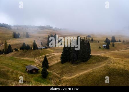 Hilly agricultural countryside with pastures, wooden huts and trees at Seiser Alm, covered in fog in autumn. Stock Photo